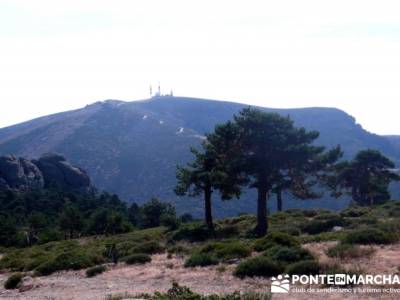 Senda Herreros - Puerto de Navacerrada - Valle de Fuenfría - Ducha de los Alemanes -Embalse Berceas